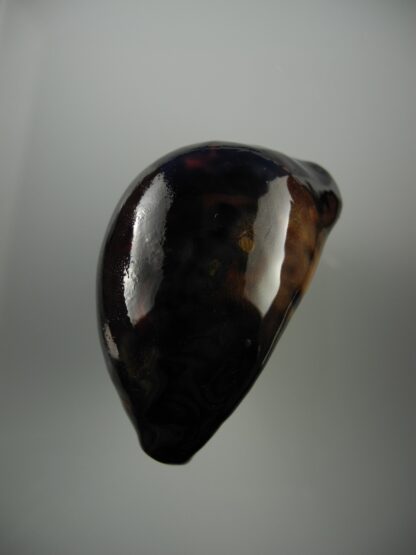Zoila venusta episema sorrentensis ...BLACK.. 62,2 mm F+++/Gem-21968