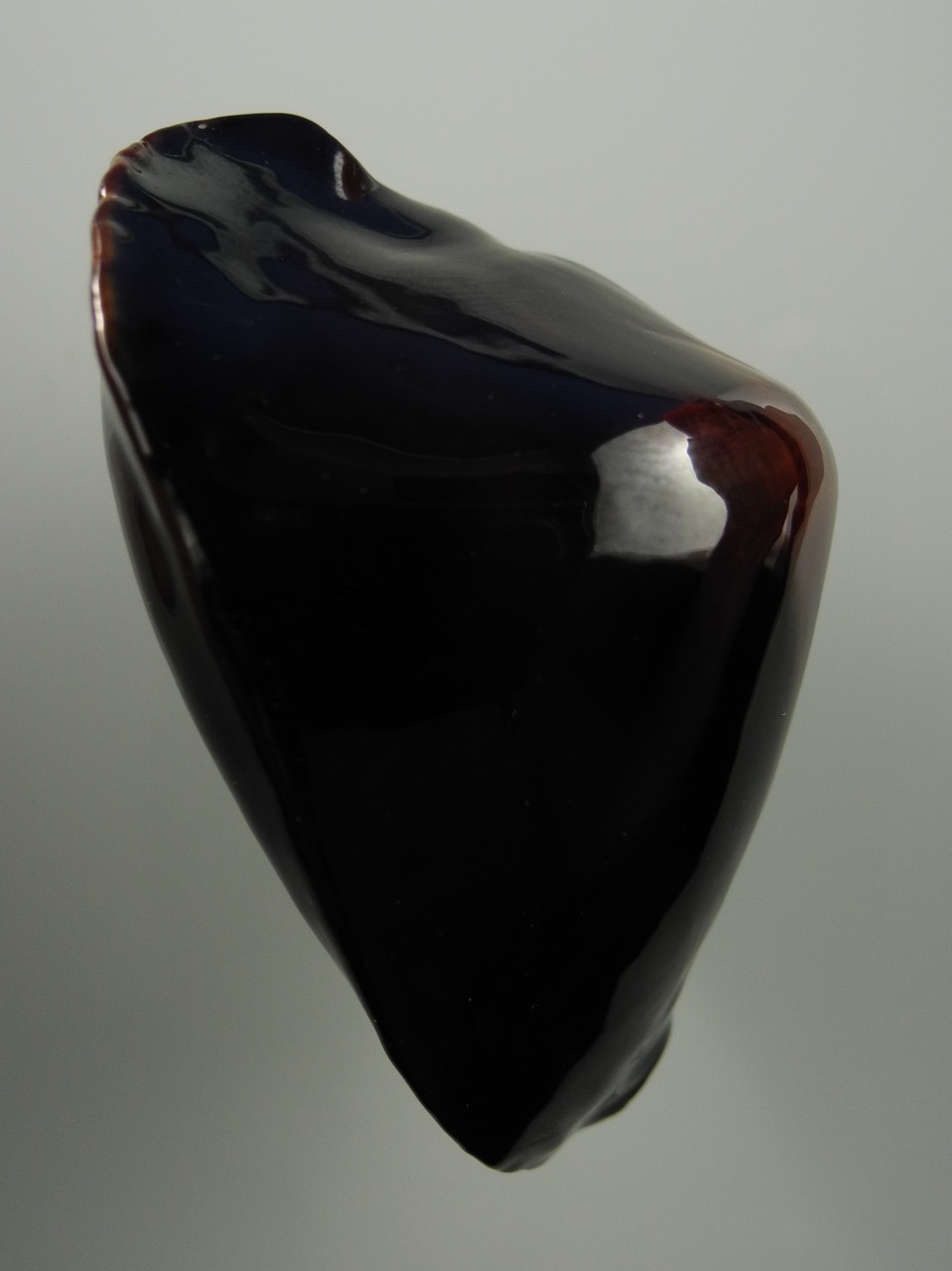 Zoila rosselli rosselli 54 mm Gem+-38175