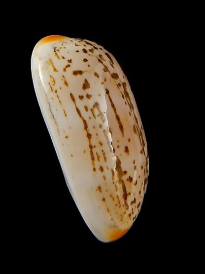 luria isabella gauguini 21,30 mm Gem-43142