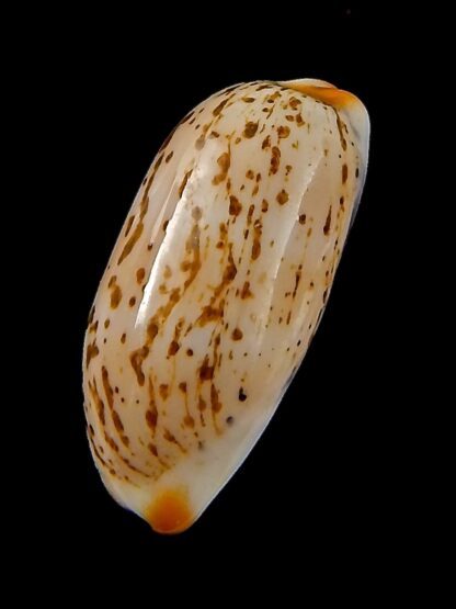 luria isabella gauguini 21,30 mm Gem-43143