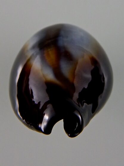 Erronea onyx onyx 46,93 mm Gem-44064