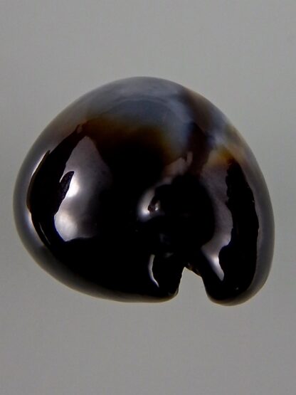 Erronea onyx onyx 46,93 mm Gem-44063