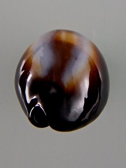 Erronea onyx onyx 37,21 mm Gem-44048