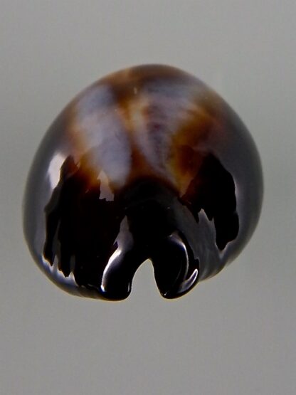 Erronea onyx onyx 41,80 mm Gem-44033