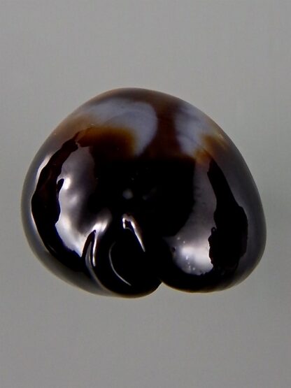 Erronea onyx onyx 41,80 mm Gem-44034