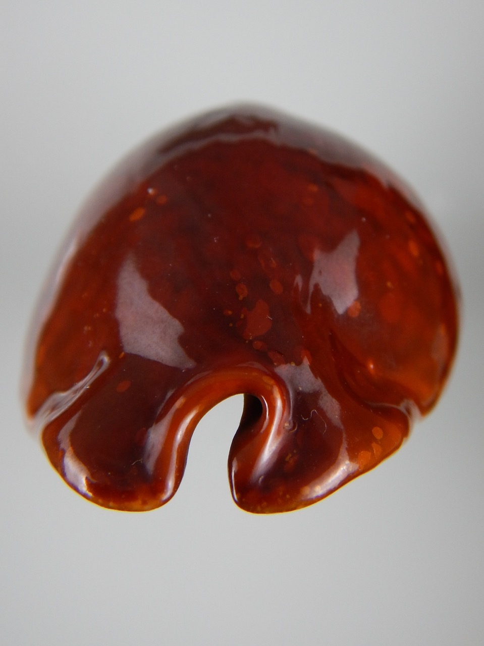 Trona stercoraria stercoraria ... rusty...79,55 mm GEM (-)-45435