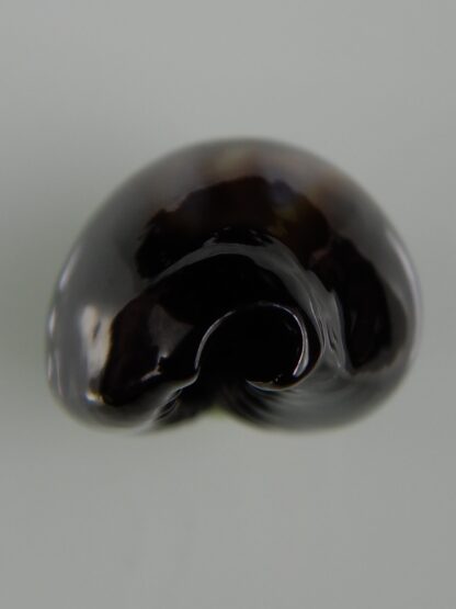 Erronea onyx onyx " SP pattern" 36,98 mm Gem-47405