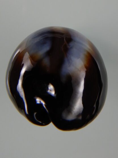 Erronea onyx onyx " SP pattern" 40,83 mm Gem-49220
