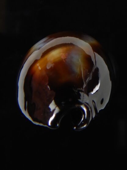 Erronea onyx onyx " BLACK" 34,83 mm Gem-56517