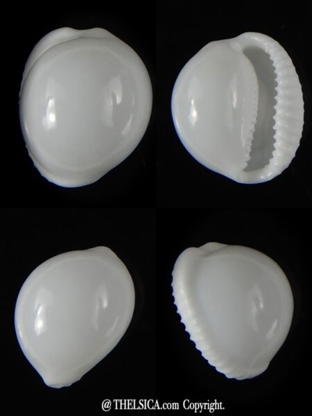 Trivella millardi 16,66 mm Gem-0