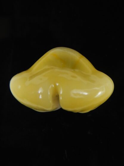 Monetaria moneta moneta ..Incredible shape ... 26,04 mm Gem -58985