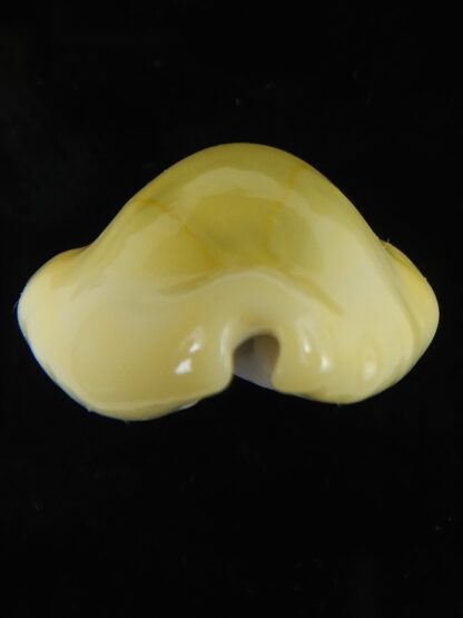 Monetaria moneta moneta ..Incredible shape ... 28,98 mm Gem-59013