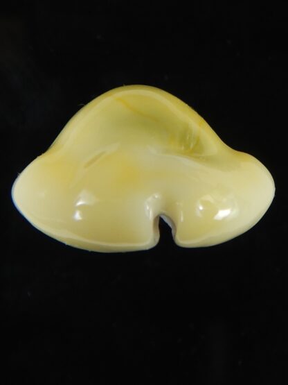 Monetaria moneta moneta ..Incredible shape ... 28,98 mm Gem-59016