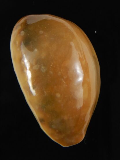 Lyncina lynx .. overglazed.... 32,31 mm Gem-59427