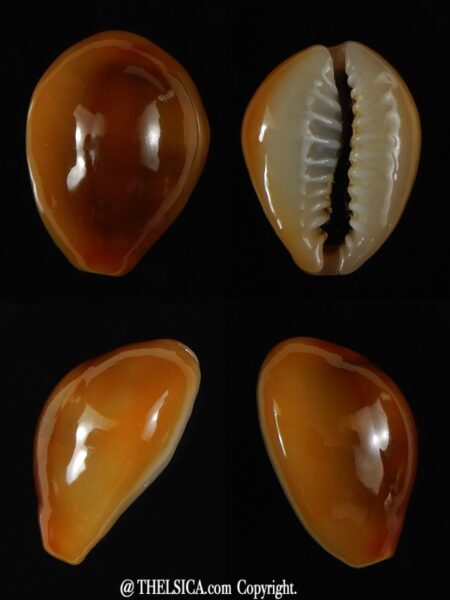 Monetaria moneta moneta .. Rusty... 18,73 mm Gem -0