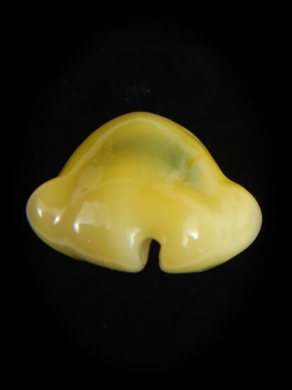 Monetaria moneta 21.89 mm Gem-64229