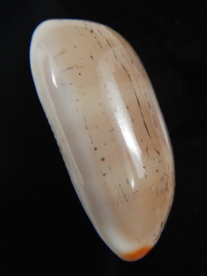 Luria isabella isabella...VERY Big size.. 38.20 mm Gem-76629